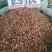 茜草根～新货大茜草35～小32～1公斤起售~