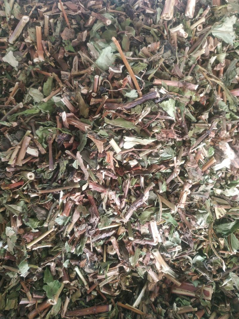 败酱草～新货～包含量～量大优惠～欢迎咨询采购