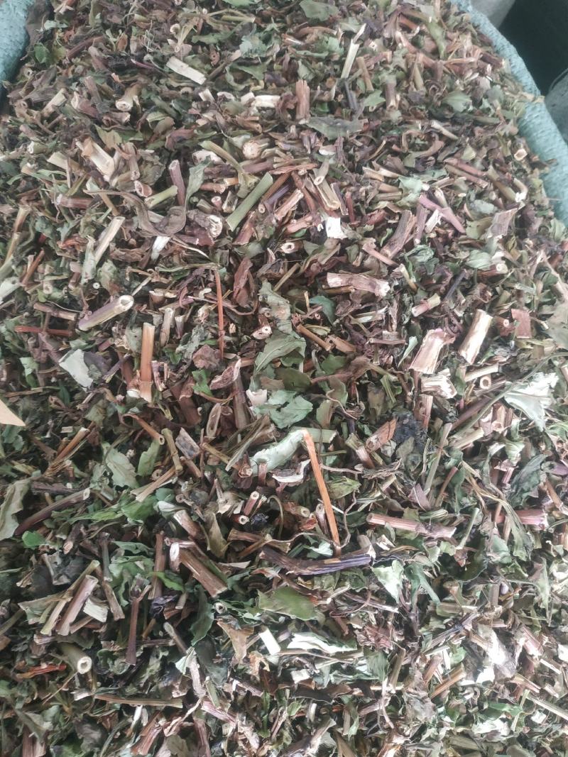 败酱草～新货～包含量～量大优惠～欢迎咨询采购
