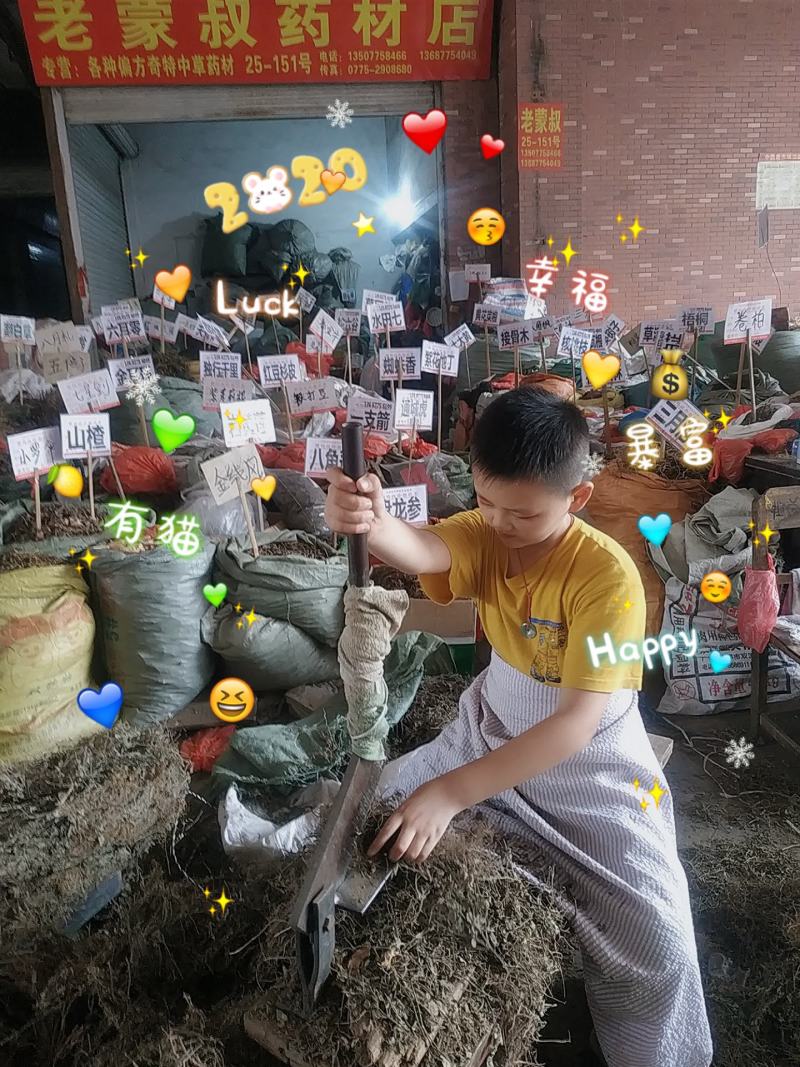 冬凌草～新货～量大优惠～质量好欢迎咨询采购