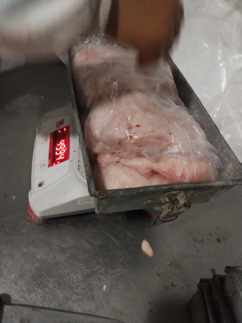 内蒙古锡林郭勒羊尾油，新鲜油大，穿串炼油都行，烧烤店好用