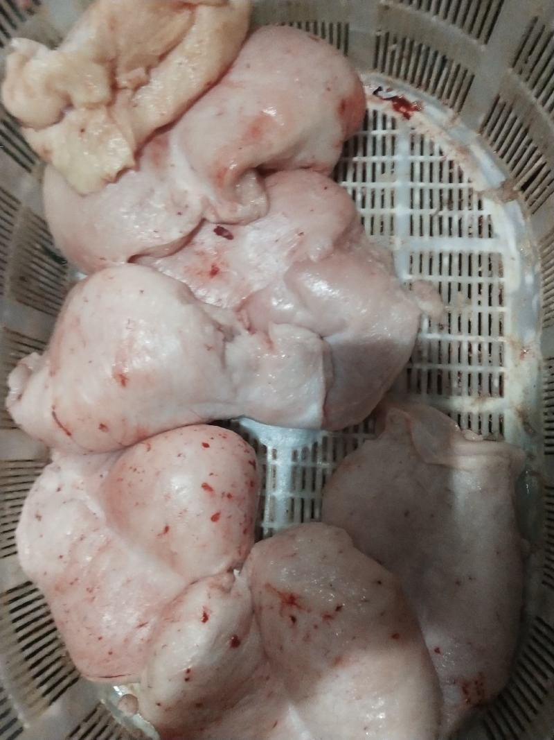 内蒙古锡林郭勒羊尾油，新鲜油大，穿串炼油都行，烧烤店好用
