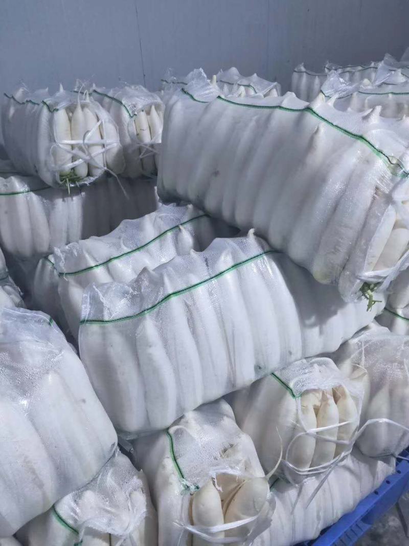 湖北高山精品白萝卜，个大皮薄汁多，价格便宜欢迎咨询