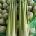 甘肃兰州高原夏季蔬菜