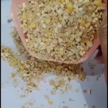 【精选好货】碎玉米，干净净粮，厂家直供，猪牛羊鸡鸭鹅饲料