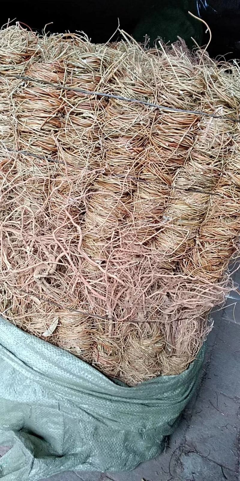 鸡骨草～全新货上市～1公斤起售欢迎咨询采购