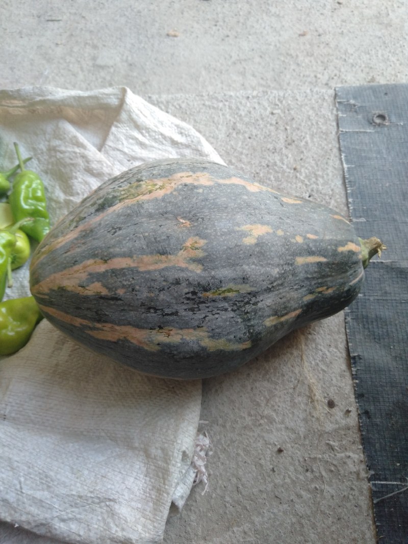 粤北瑶山农家自种香芋南瓜