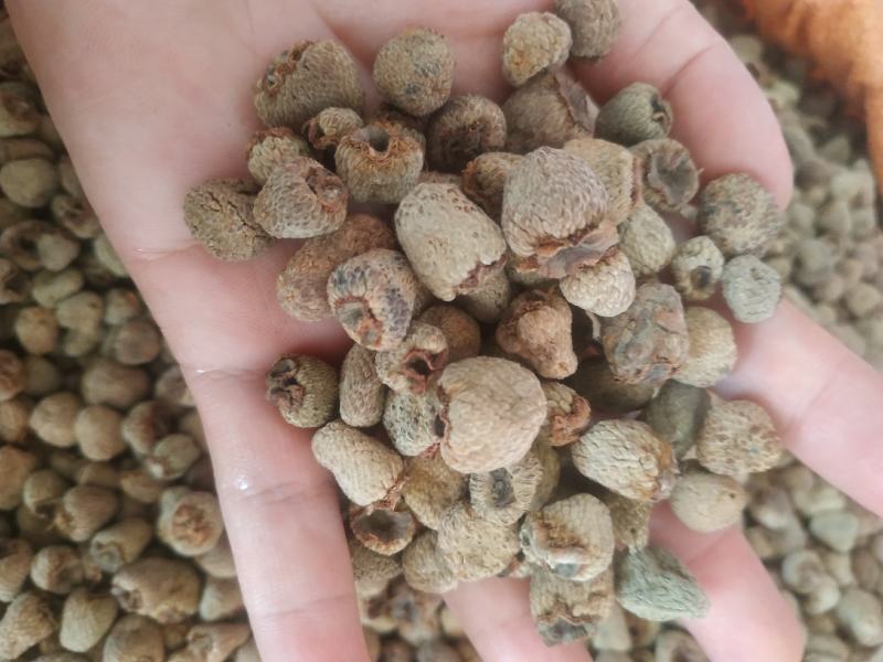 覆盆子～新货涨价中～170~一公斤起售~