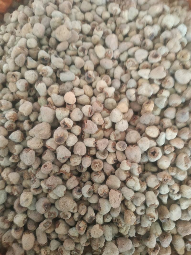 覆盆子～新货涨价中～170~一公斤起售~