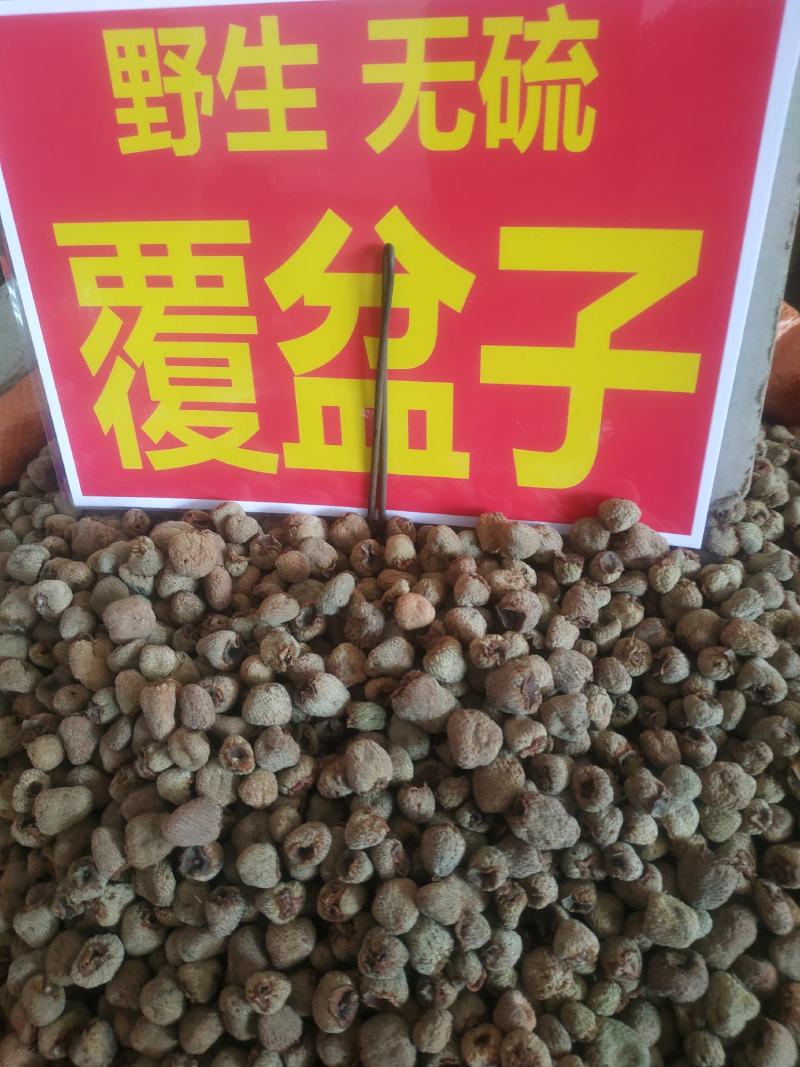 覆盆子～新货涨价中～170~一公斤起售~