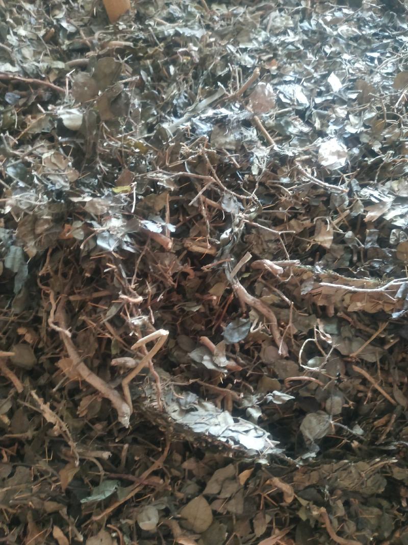 绣花针～新货～1公斤起售～质量好欢迎咨询采购