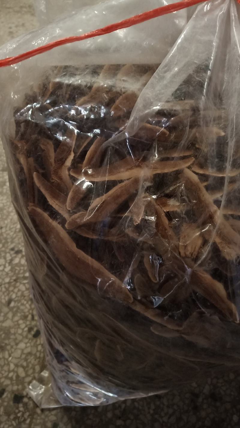 【大量批发】吉林灵芝片长白山灵芝林下灵芝片