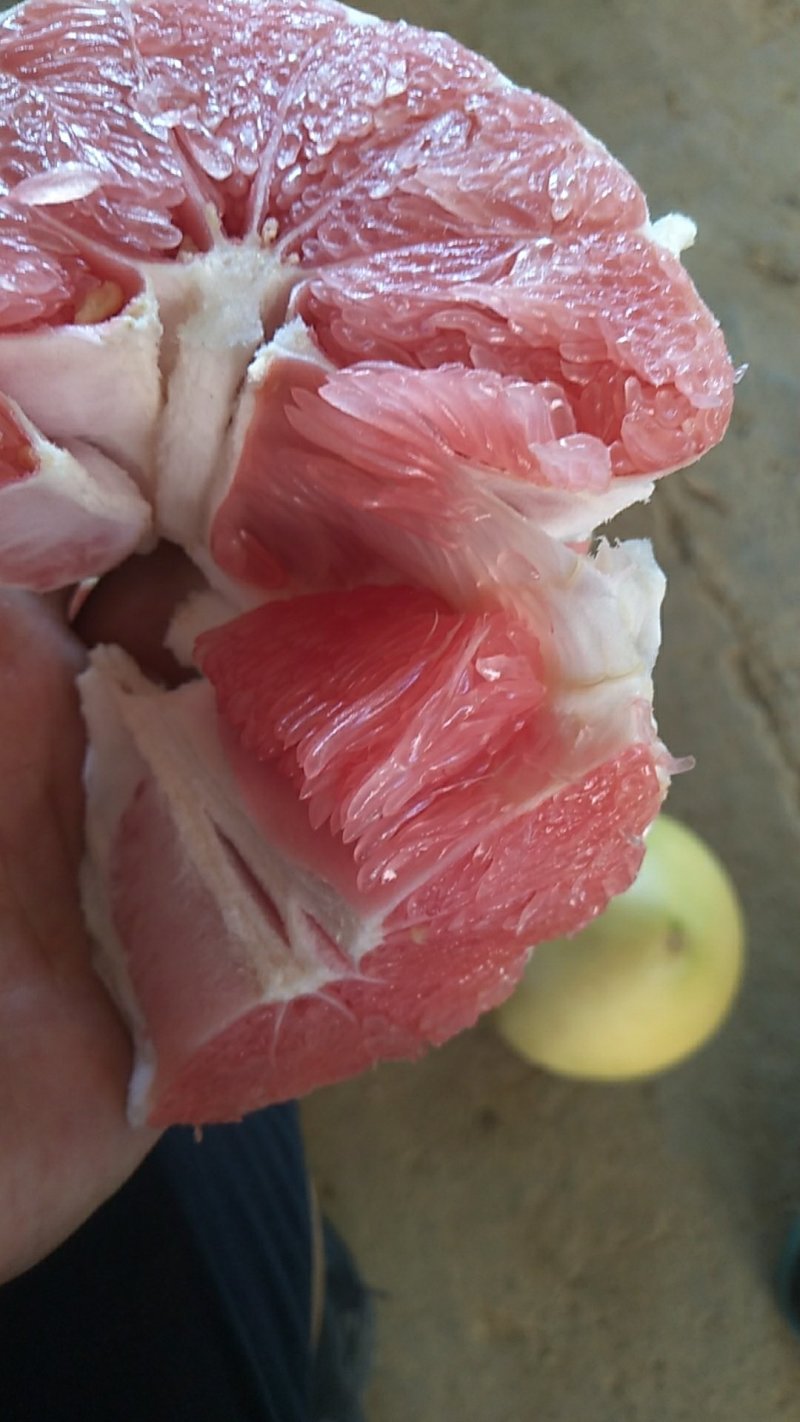 新鲜三红蜜抽