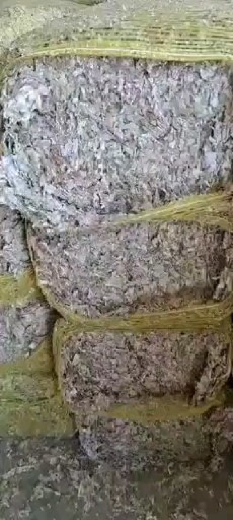 大蒜皮，牛羊养殖都可使用。