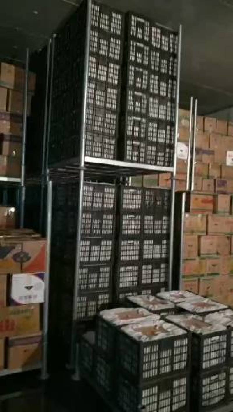 宁夏精品套袋红富士苹果大量上市需要的客商前来