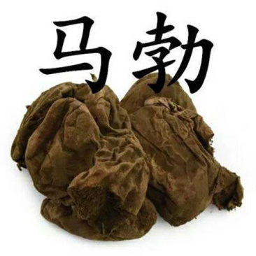 马勃冷背中药材马勃马蹄包马粪包灰包菌中草药马勃正
