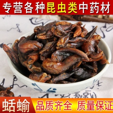 中药材蛞蝓/附蜗/蜒蚰/托胎虫/鼻涕虫干品个大颜色好