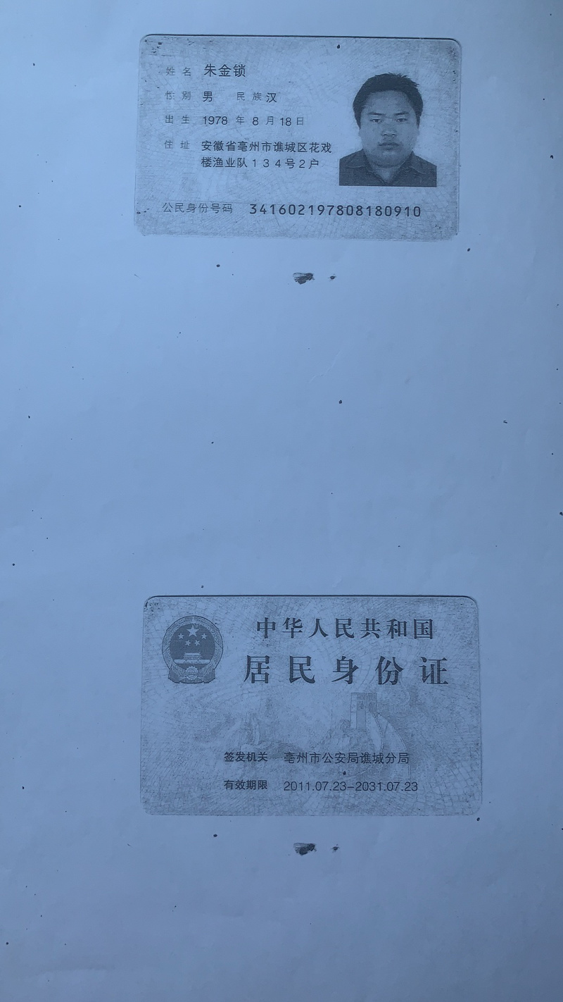 藏红花种苗，藏红花种球基地批发番红花苗价格