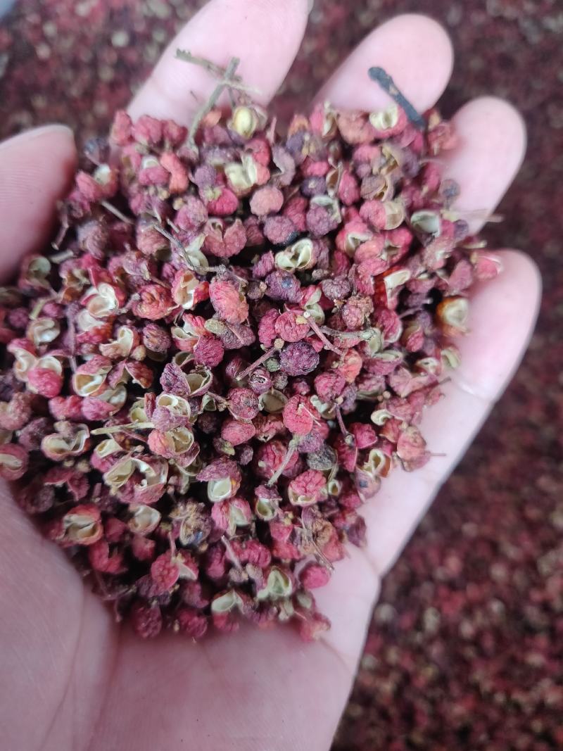 陕西韩城红花椒大红袍调味料农副麻椒开口率好