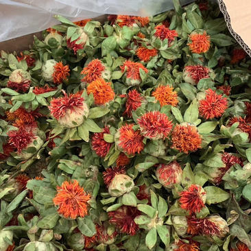 藏红花，跑江湖地摊热卖，红花朵2020年新货，菠萝橙