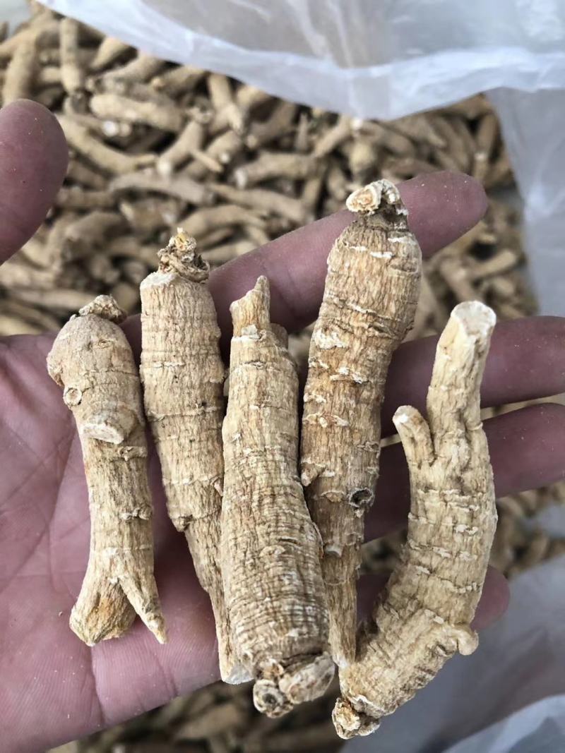 西洋参精品西洋参条10克一条长短都有货价格实惠