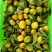 通报行情，云南蜜桔正式进入大量采摘时间，口感清甜！