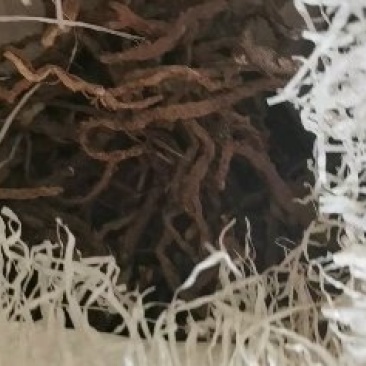 石苍蒲吗野生货不多。不包邮