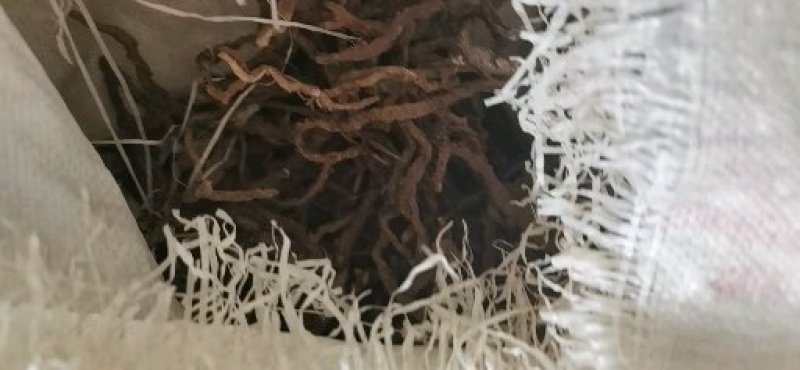 石苍蒲吗野生货不多。不包邮