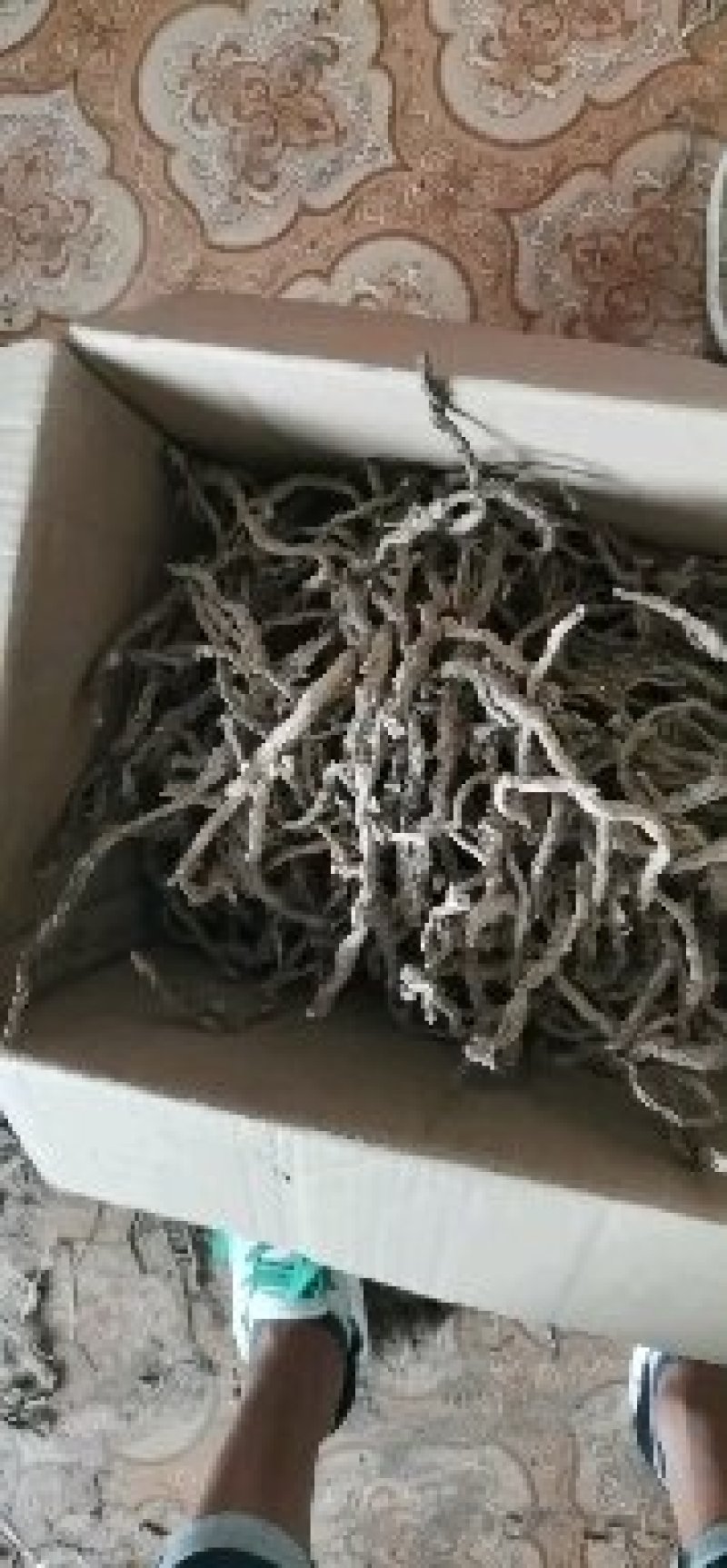 石苍蒲吗野生货不多。不包邮