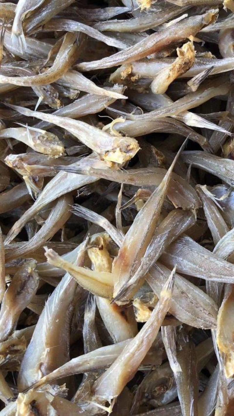 现货《沙丁鱼》，拿货13.5一斤