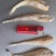 现货《沙丁鱼》，拿货13.5一斤