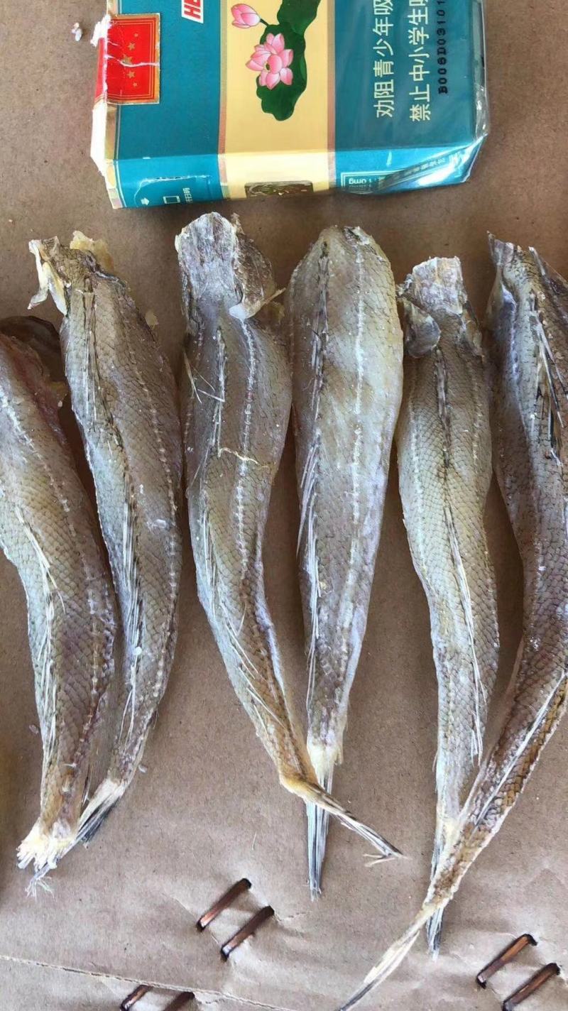 现货《沙丁鱼》，拿货13.5一斤