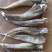 现货《沙丁鱼》，拿货13.5一斤