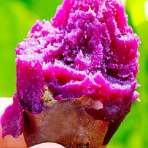 农家新鲜紫薯紫罗兰紫薯香甜粉糯美味