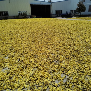 药材黄蜀葵花加工大量上市，新货漂亮