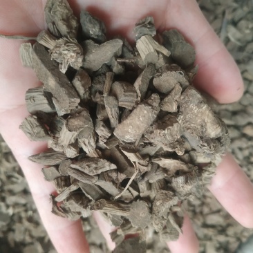 牛膝～川牛膝～新货～涨价中~1公斤起售～