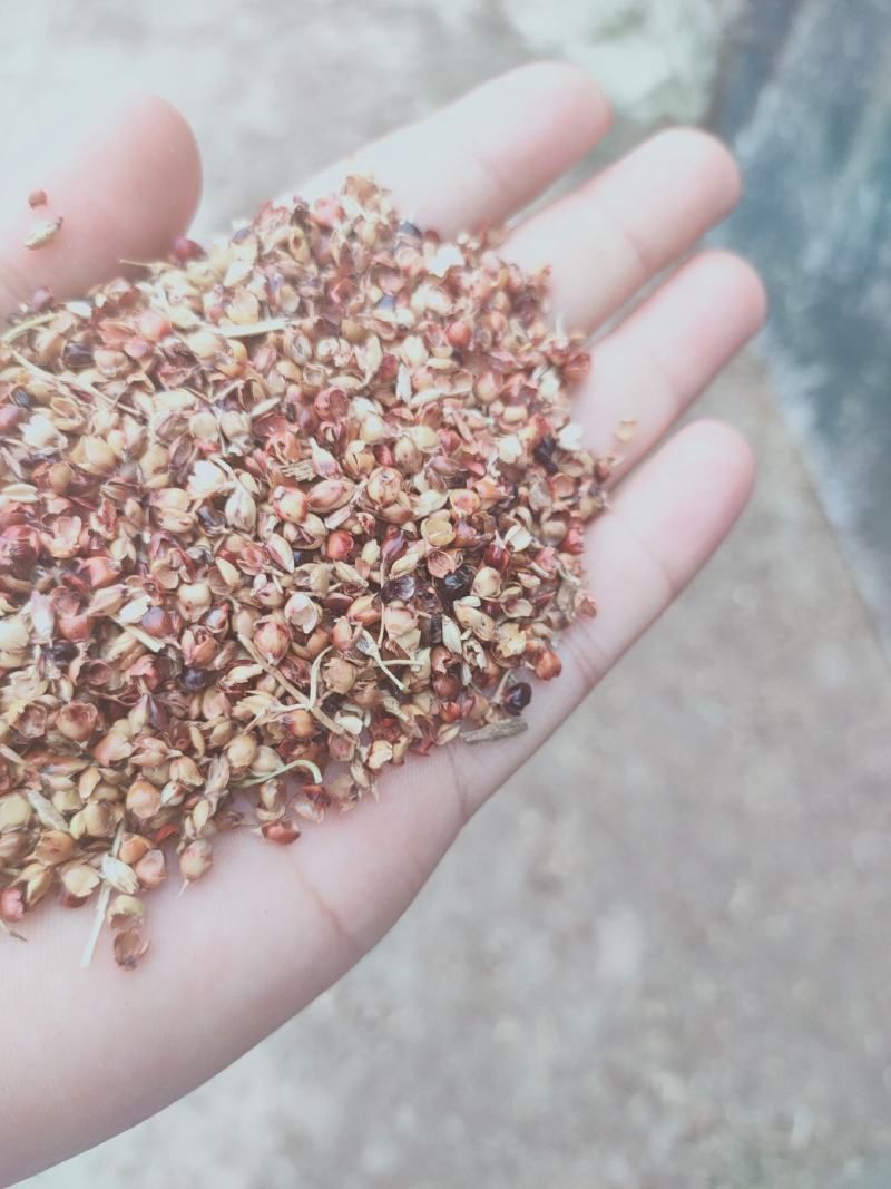 厂家直销优质货源大量促销高粱壳量大从优