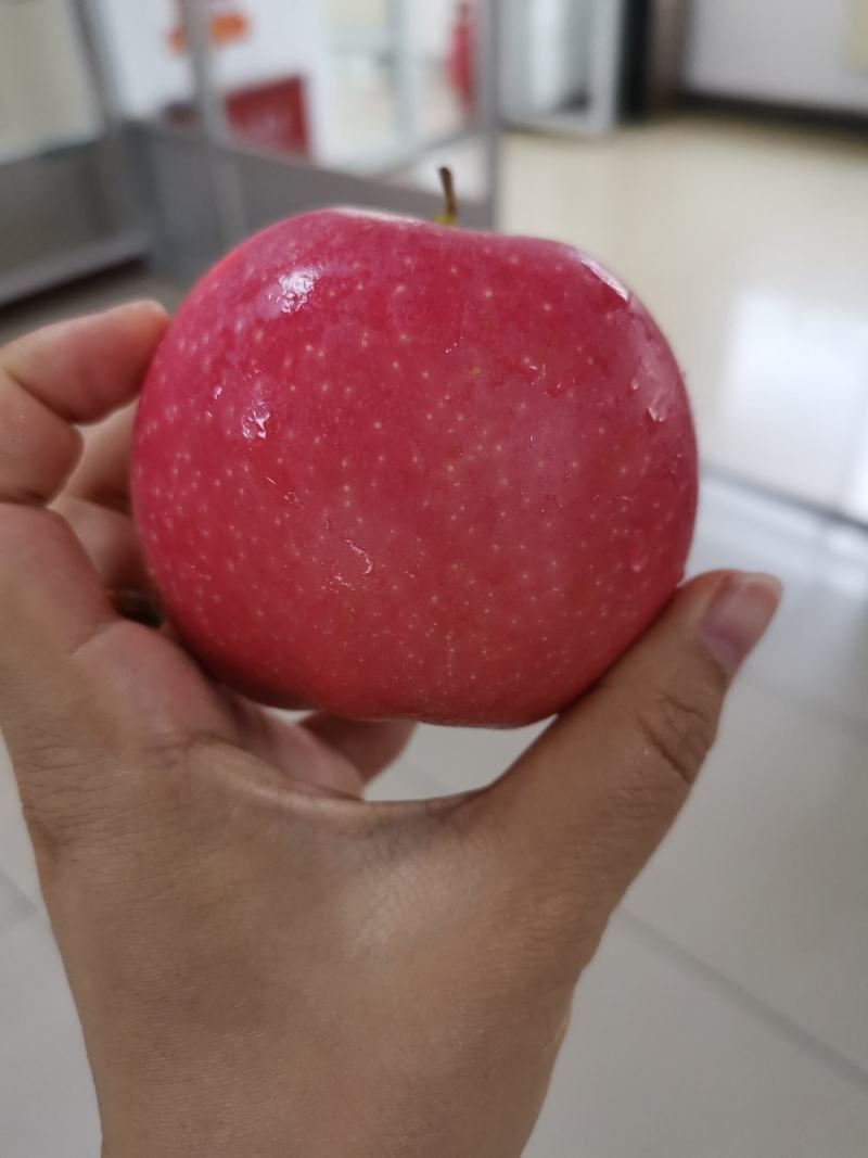 辽南又脆又甜又大嘎啦