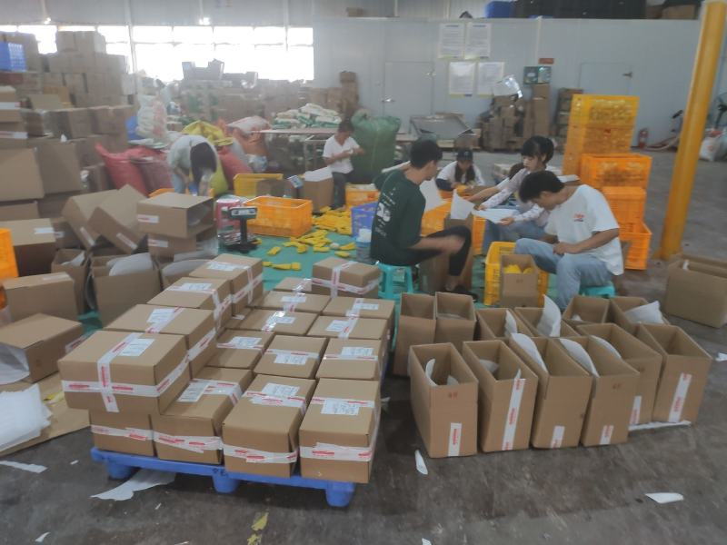 石林人参果长果一件代发新鲜现摘人参果圆果