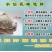 特级水仙花10粒装一箱23-24厘米今年新球漳州盆栽绿植