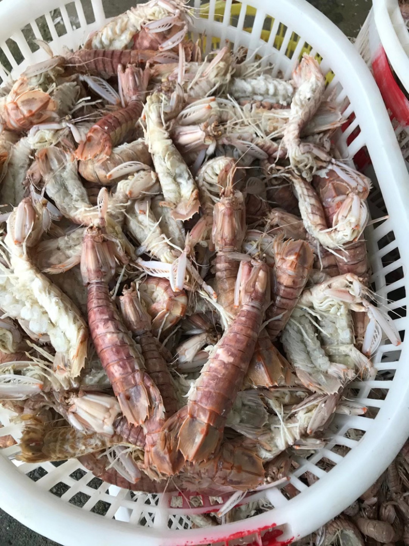 生猛熟煮急冻大号皮皮虾，大号肉虾，品质至上，价格实惠。