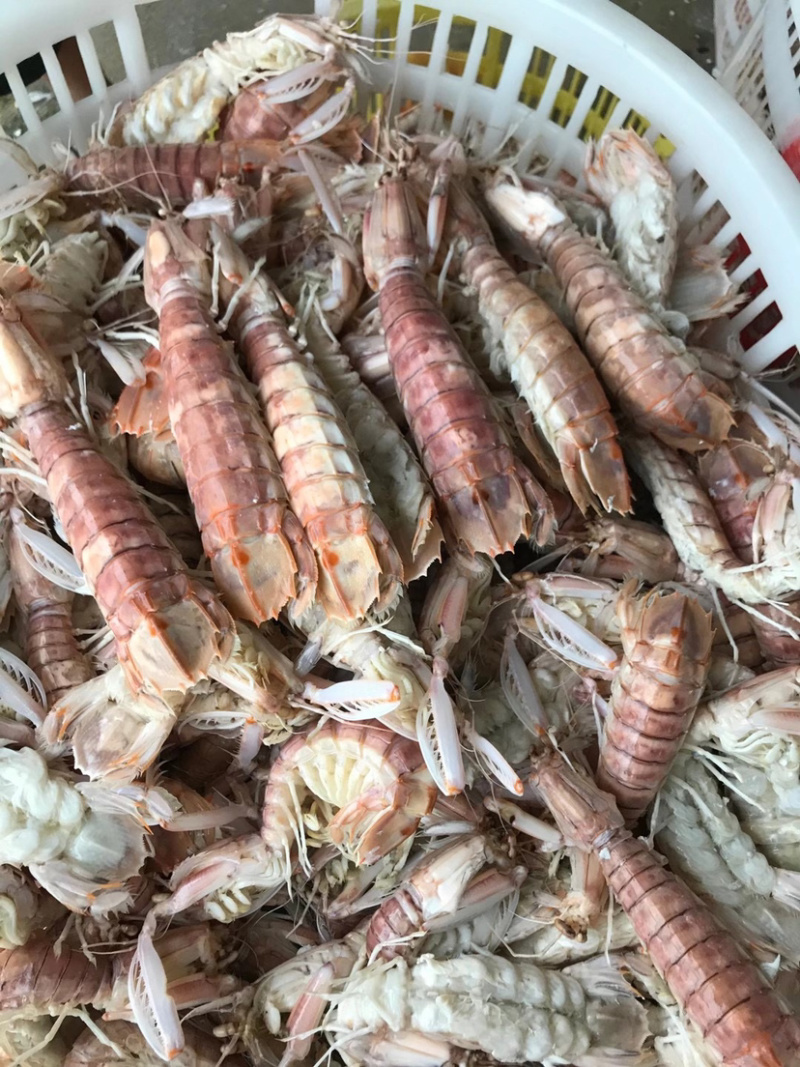 生猛熟煮急冻大号皮皮虾，大号肉虾，品质至上，价格实惠。