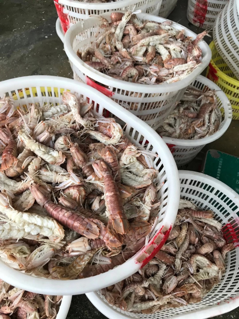 生猛熟煮急冻大号皮皮虾，大号肉虾，品质至上，价格实惠。