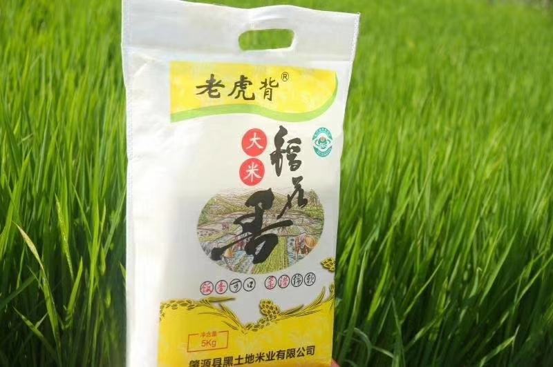 东北优质稻谷诚招合作伙伴
