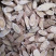 黄芪切片岷县通货规格齐全批发通货