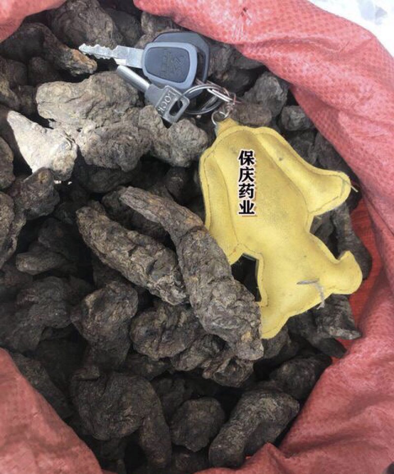生地无硫生地个生地黄个生地片有个有片生地黄片实拍