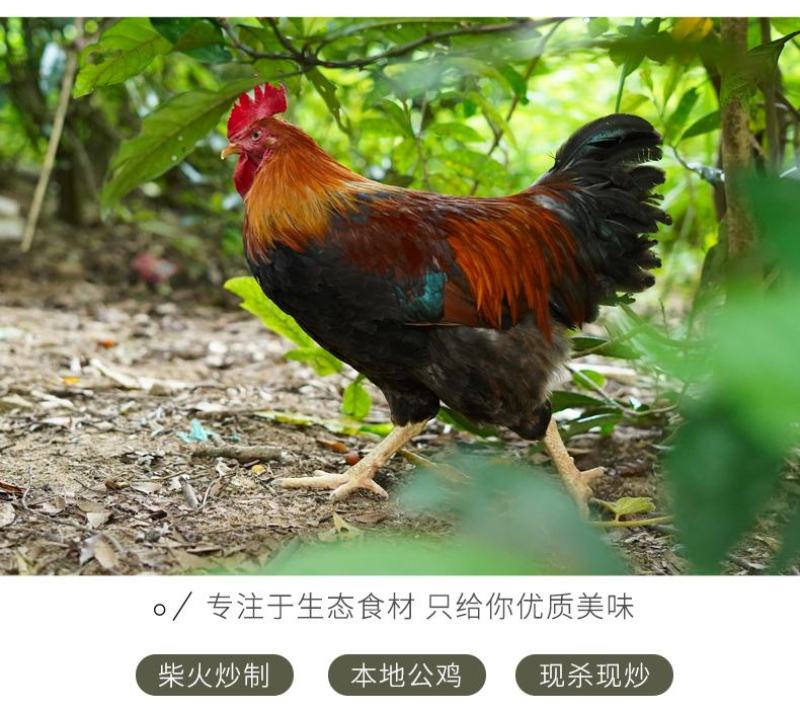 滕阳果木柴火辣子鸡，枣庄，滕州，特色辣子鸡
