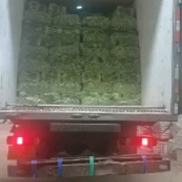 南通精品蔬菜常年代收，永不断货，欢迎新老客户