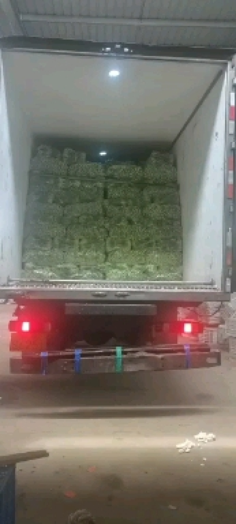 南通精品蔬菜常年代收，永不断货，欢迎新老客户
