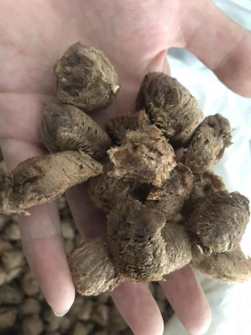 桑螵蛸熟桑螵蛸保庆药业桑螵蛸大棉